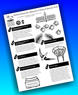 Oxford University Museum Of Natural History