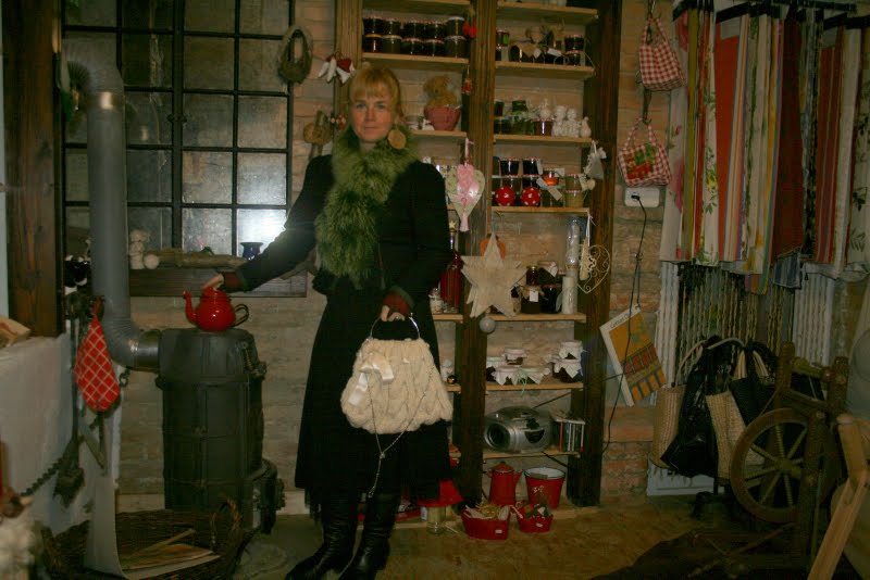 04 09 2015 Potsdam Landtag Wandervogel