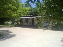 Minha foto