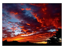 New Mexico Sunset