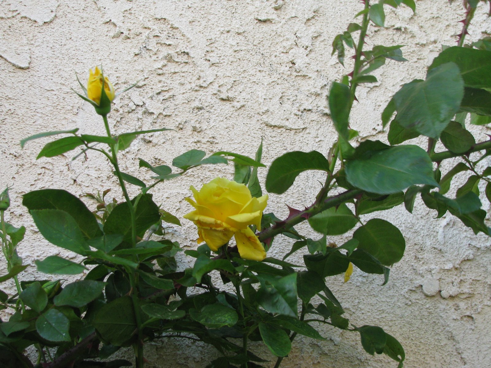 [IMG_8557.JPG]