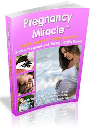 The Pregnancy Miracle Guide
