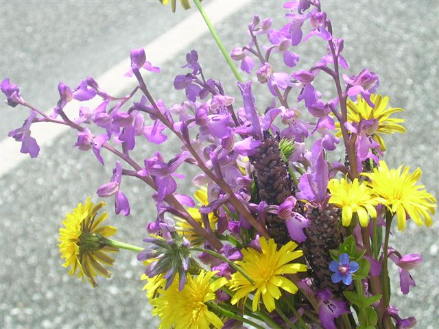 [DSCN0996.JPG]