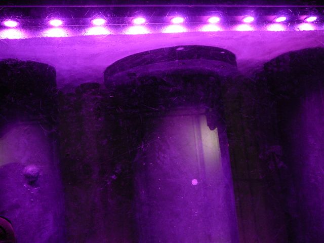 [fun+for+me+(2).jpg]