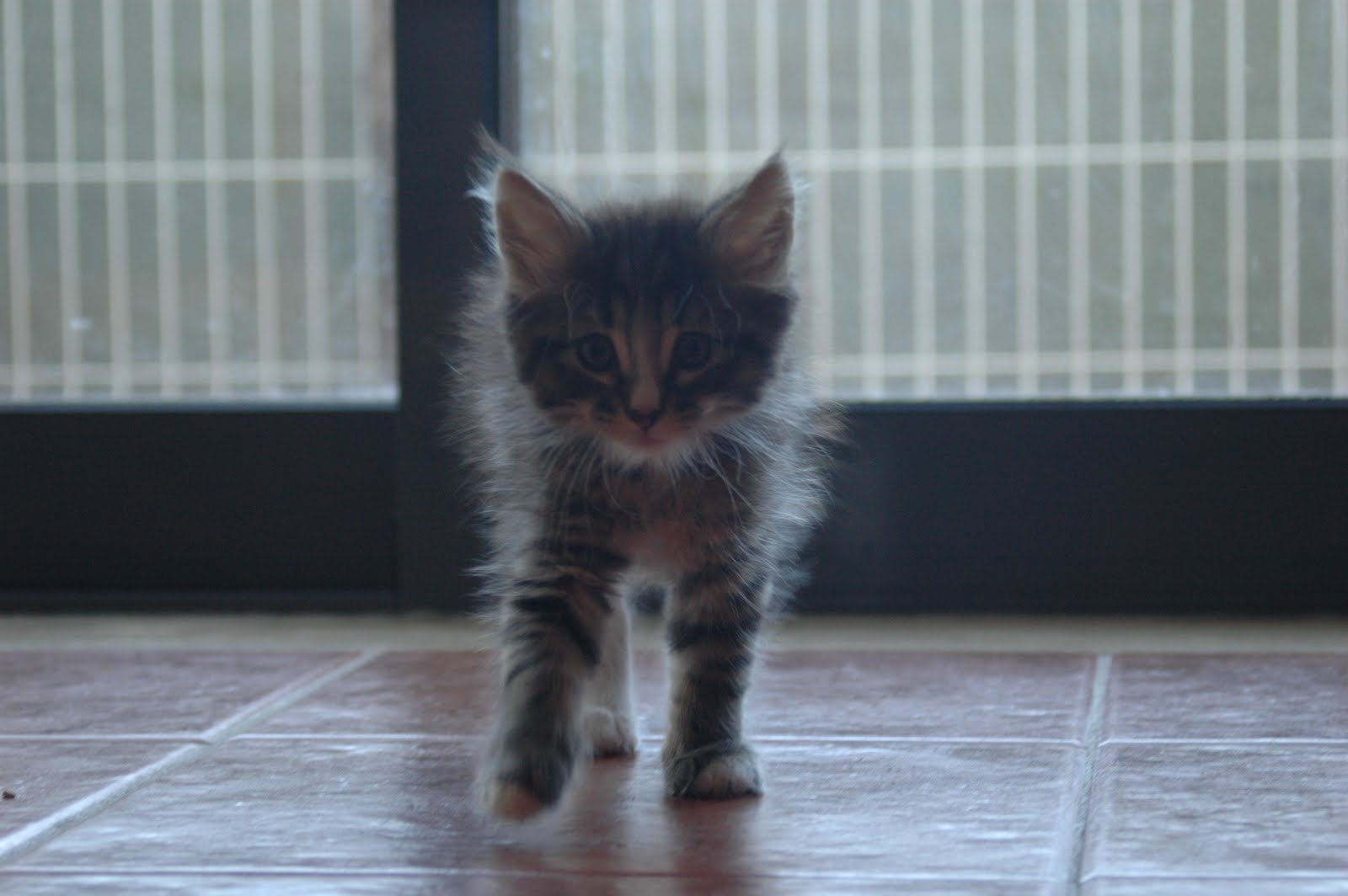 [DSC_9967.JPG]