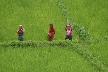 NEPAL: Near Lahachowk