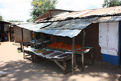 Matipwilli, TANZANIA