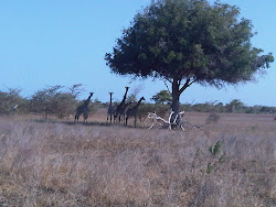 Tanzania, October 2010