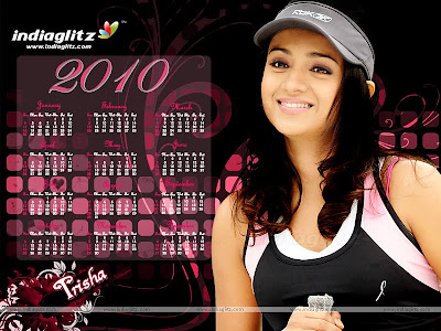 Bollywood Star Calendars 2010