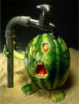 Funny photo ,food funny photo