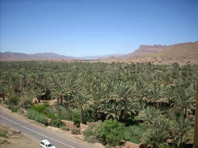 [maroc+(7).JPG]