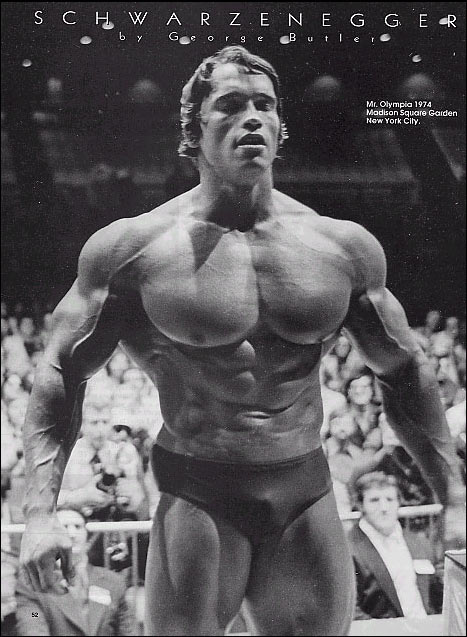 Arnold Schwarzenegger. arnold schwarzenegger workout