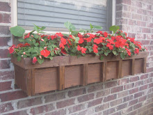 custom window boxes