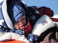 Relaxing in the sleigh