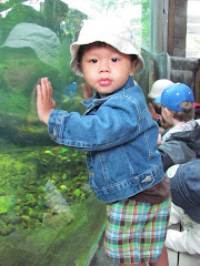 Alexandre looking at the fish at Granby Zoo
