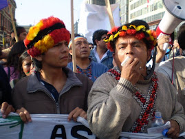 MANIFESTACION NACIONAL POR SELVATICOS