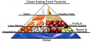 food-pyramid-500.jpg