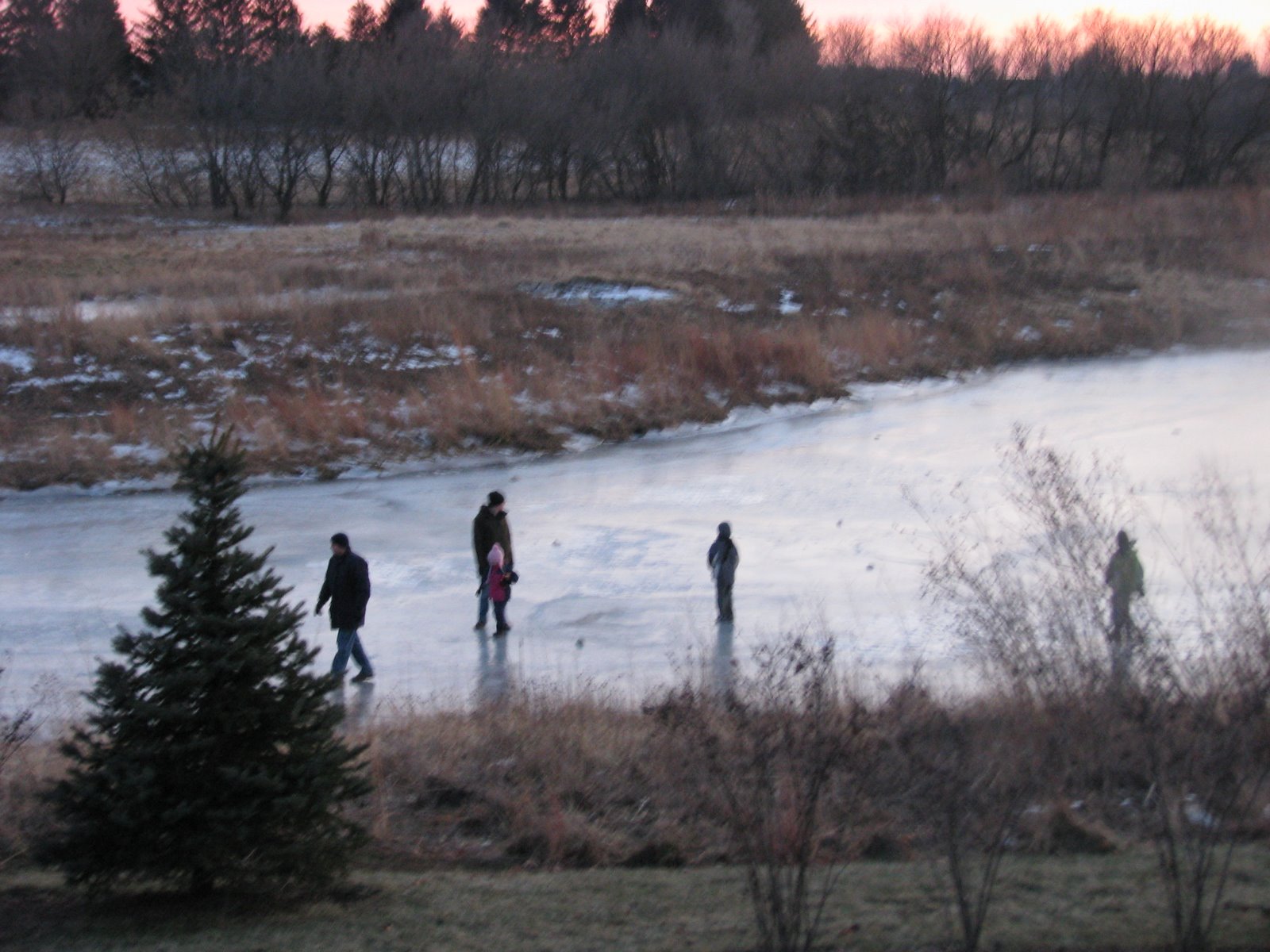[ice+001.JPG]