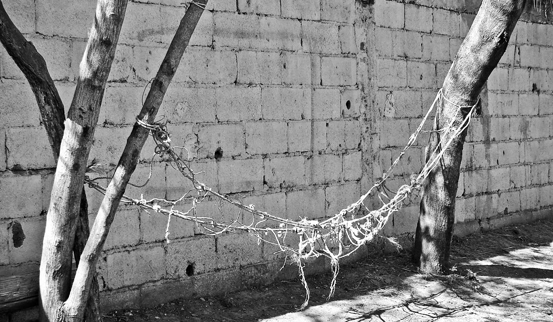 hamaca va con h 366 fotos la hamaca regiomontana hamaca va con h 366 fotos la hamaca regiomontana
