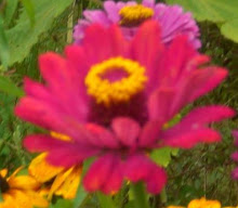 Ma photo