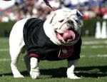 Uga