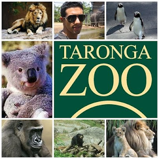 Jardim Zoológico de Taronga ○Local Público○ Taronga+zoo