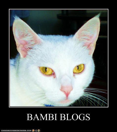 [Bambi+Blogs.jpg]