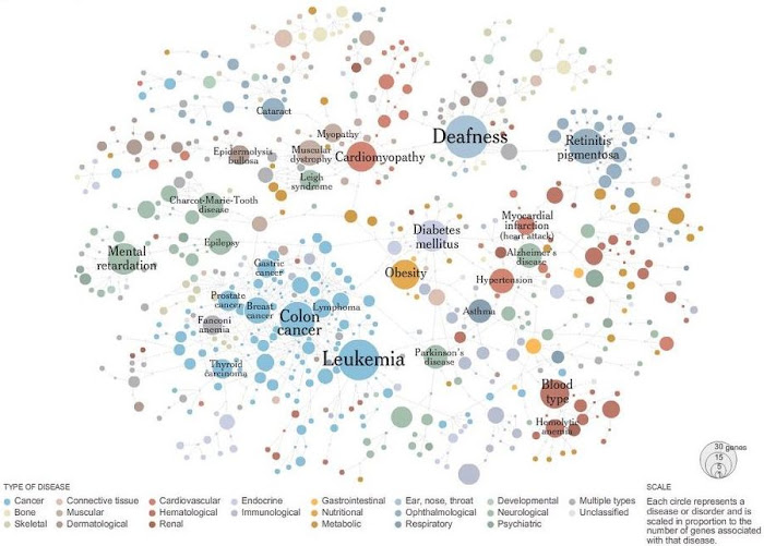 Disease Network