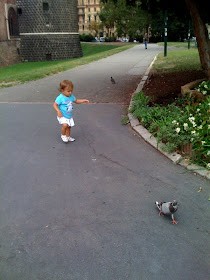 Schiller Wine Page 8 Chan 9700818 Rssing Com