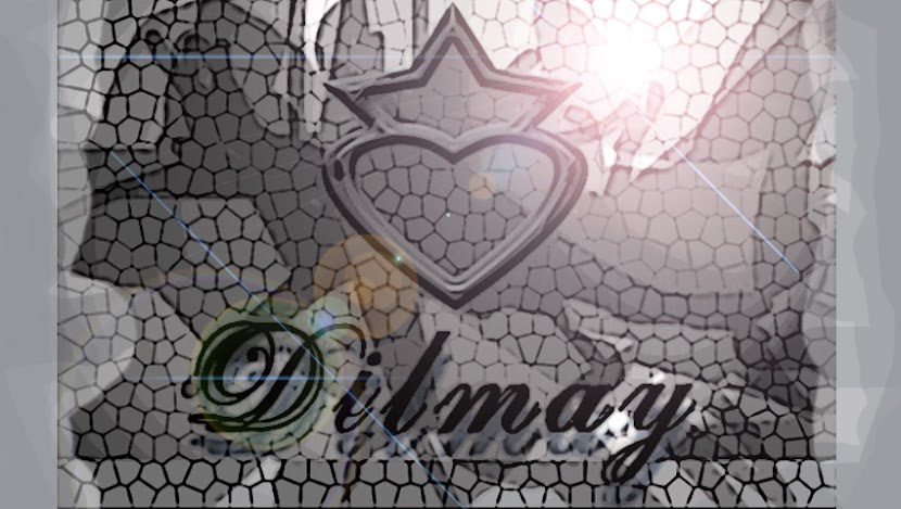 The beginning of DILMAY