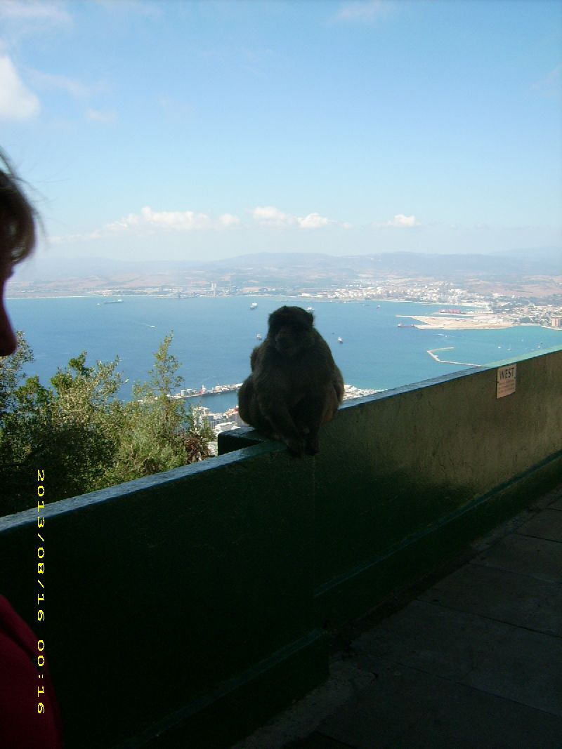 [monkey+with+view.jpg]