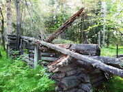 Old cabin by Salcha, AK