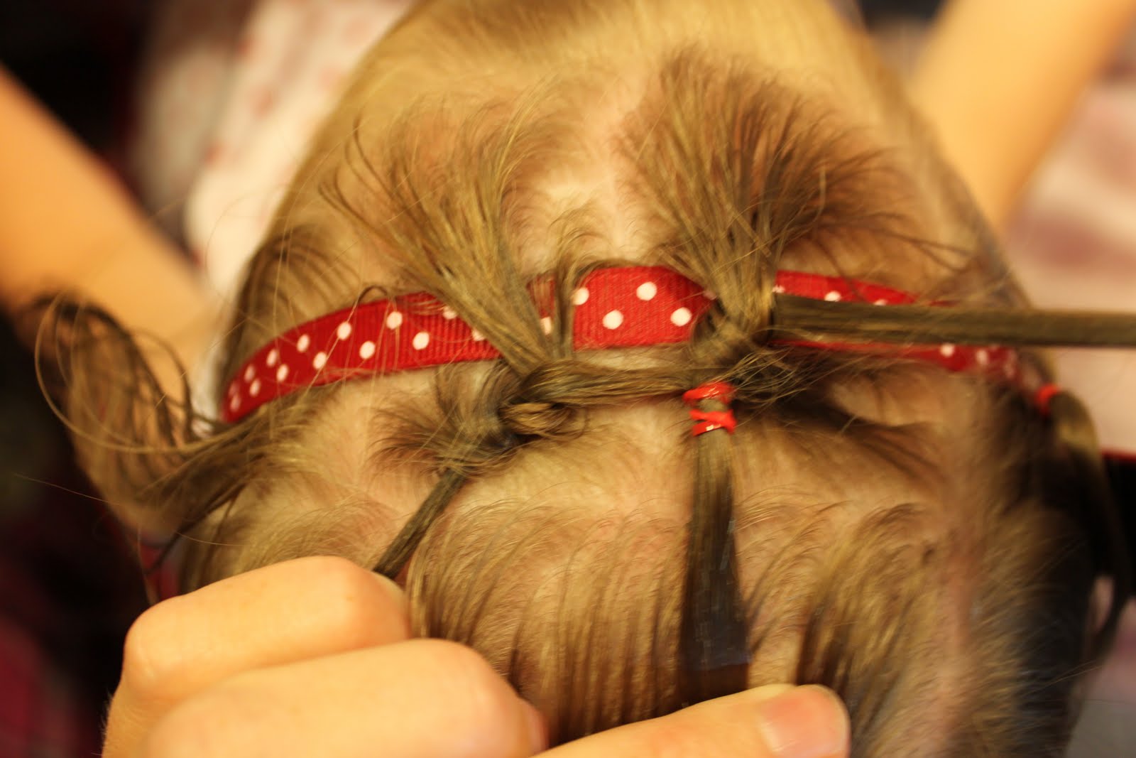 Hairstyles for Girls.. The Wright Hair Toddler Knot Ribbons