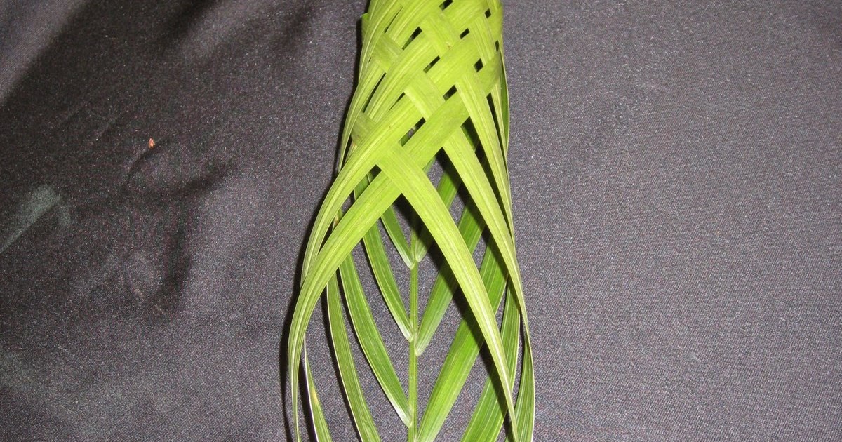 My Petal Palette Weaving Palm Fronds