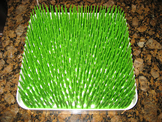 Boon Grass Drying Rack For Babies And Beyond The Best Of Life