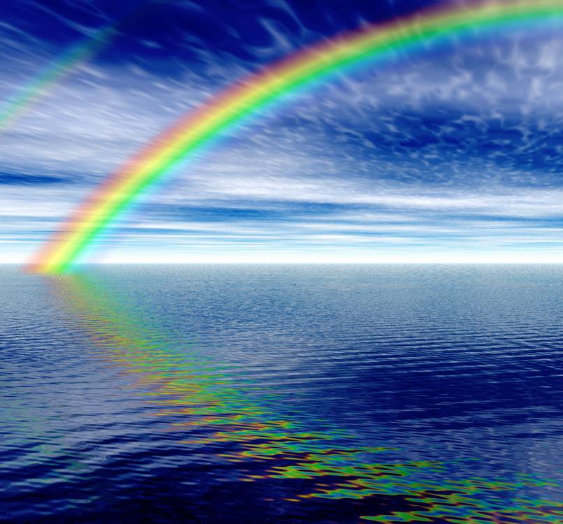 LSI BLOG Octopus Fossils Defy Current Thinking