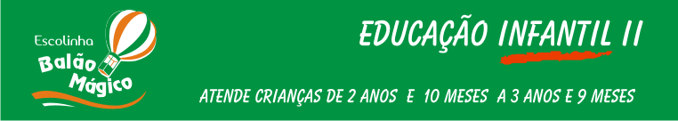 Educação Infantil II