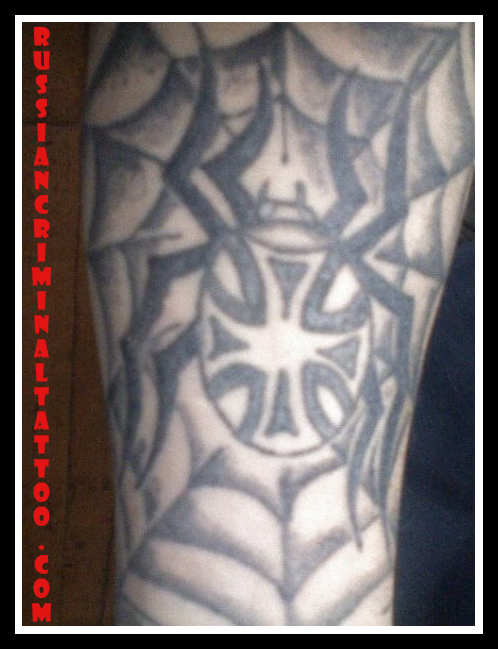 Spider Tattoo