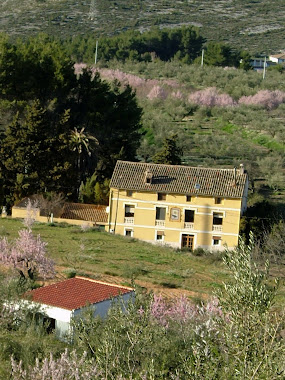 MASIA L'ALBORET