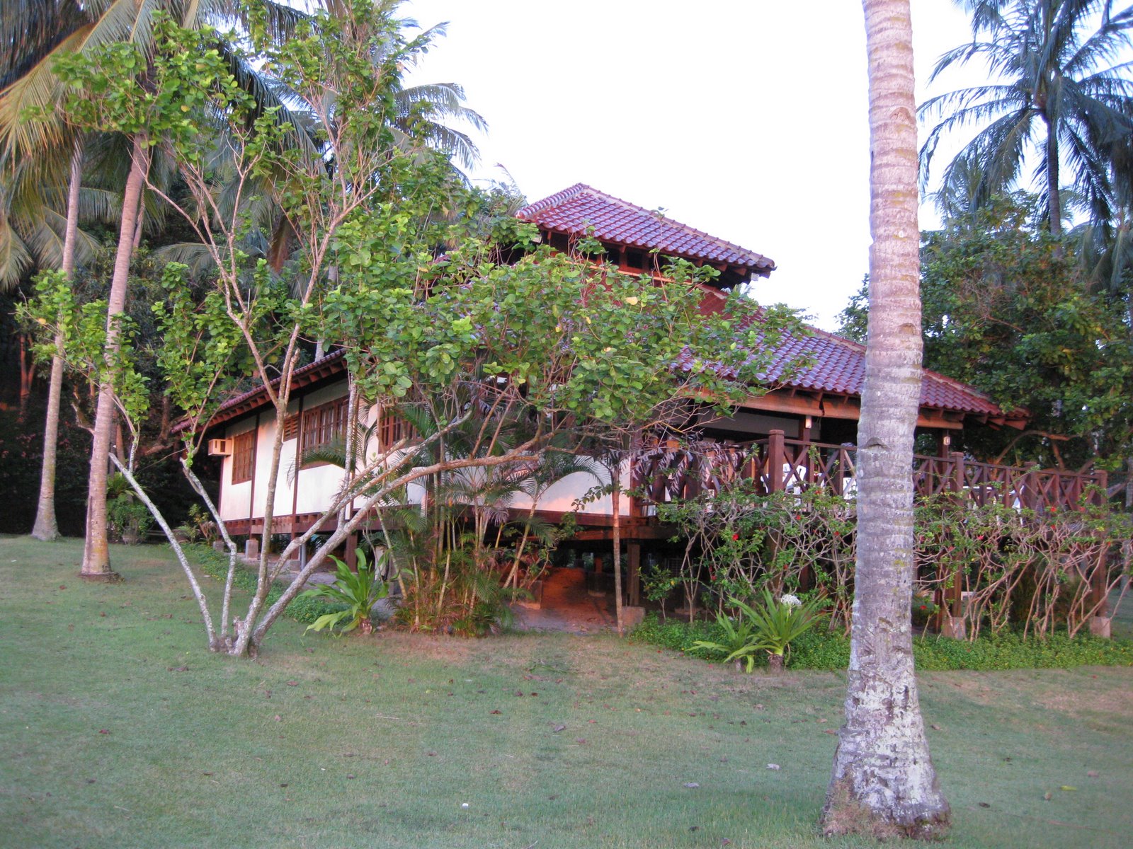 [IMG_2611.JPG]