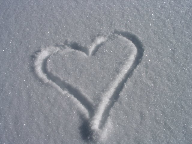 [IMG_0227.JPG]