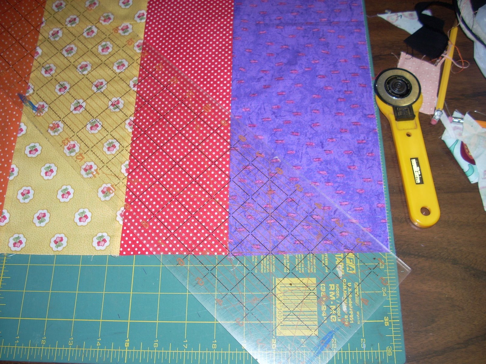 [DSCN1607.JPG]