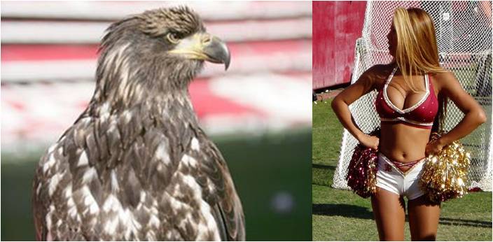 Inferno Vermelho | Benfica, SLB, Catedral da Luz