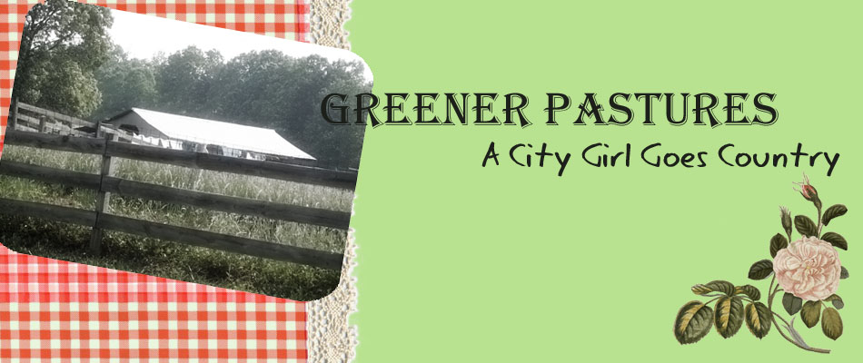 Greener Pastures--A City Girl Goes Country... and goes back again