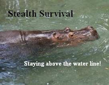 Stealth Survival