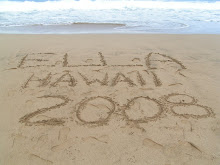 Hawaii 2008