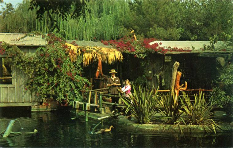 Download this Jungle Island Woodimals Woodniks picture