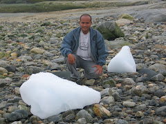 Greenland, August 2006