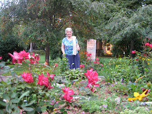 Carlina with the roses