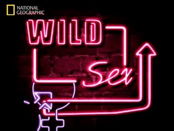 NG WILD SEX - DVD